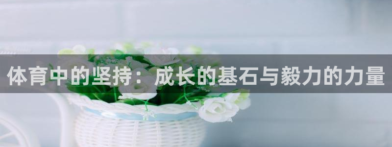 体育中的坚持：成长的基石与毅力的力量