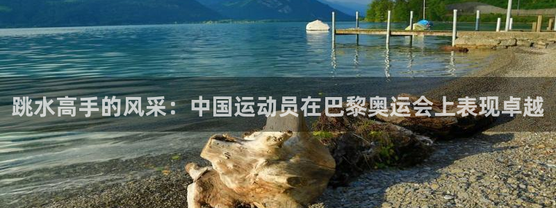 跳水高手的风采：中国运动员在巴黎奥运会上表现卓越