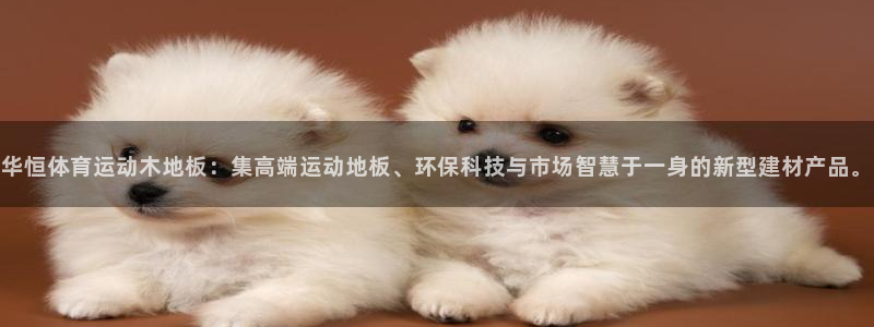 华恒体育运动木地板：集高端运动地板、环保科技与市场智慧于一身的新型建材产品。