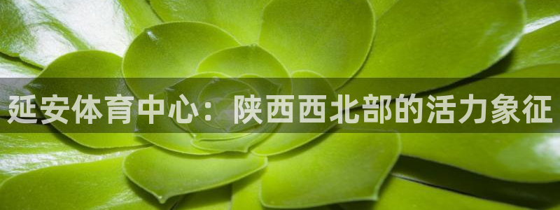 延安体育中心：陕西西北部的活力象征