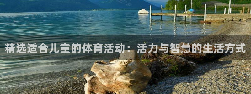 精选适合儿童的体育活动：活力与智慧的生活方式