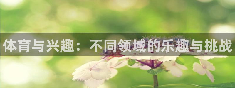 体育与兴趣：不同领域的乐趣与挑战