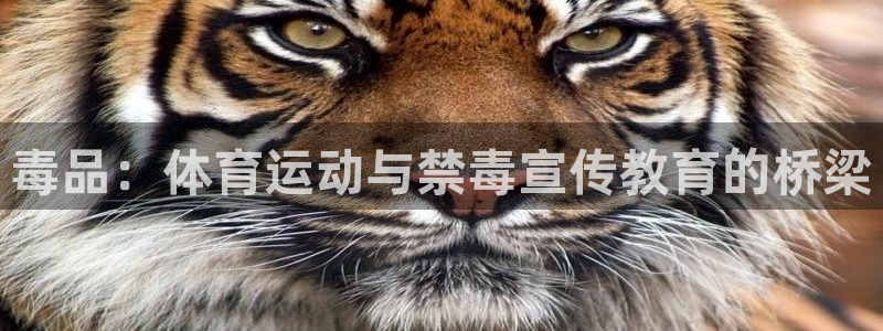 毒品：体育运动与禁毒宣传教育的桥梁